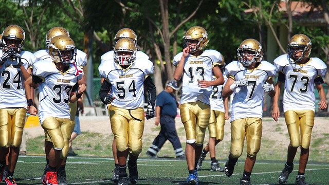 像但不会突